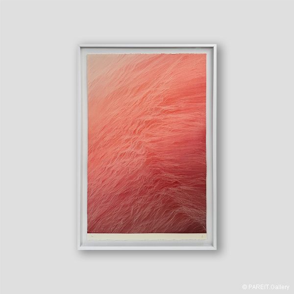 ESCUDERO Juan - Tsunamisurf Rose